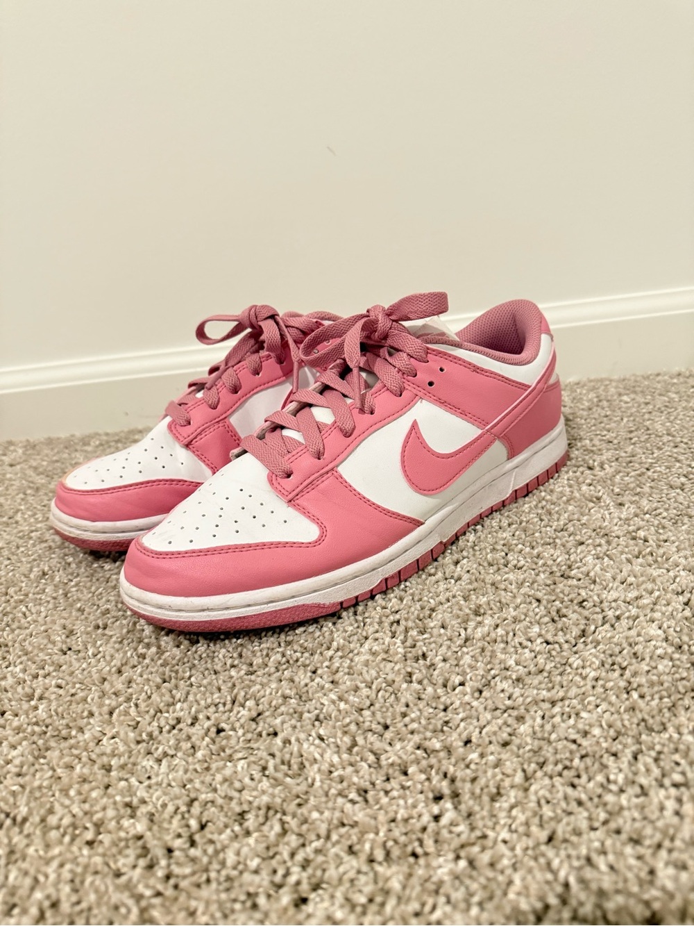 Nike Dunk Low (recycled materials)